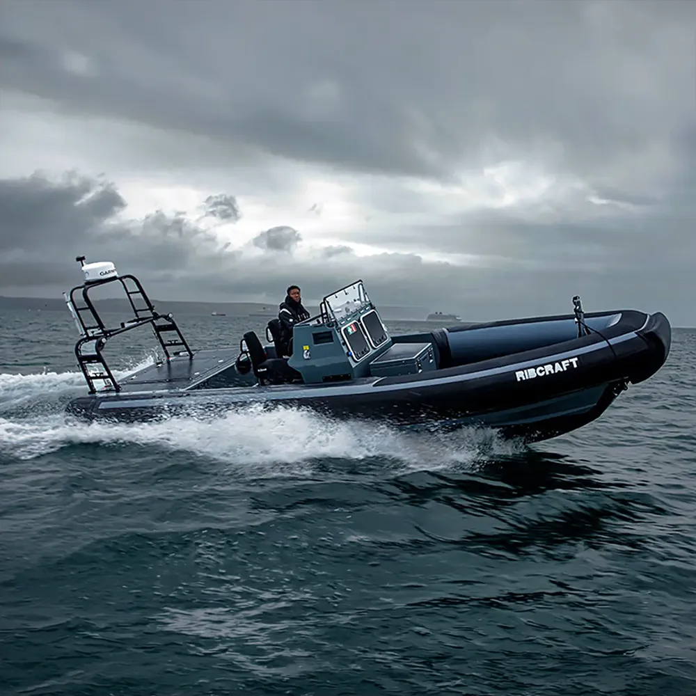 Diesel-powered Ribcraft RIB in open water Grey Ribcraft RIB running through rough sea under a stormy sky